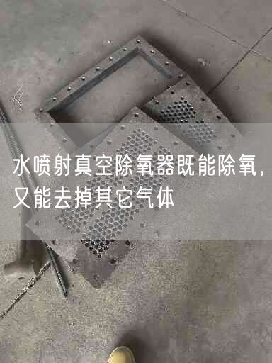 水噴射真空除氧器既能除氧，又能去掉其它氣體