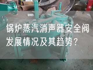 鍋爐蒸汽消聲器安全閥發(fā)展情況及其趨勢？