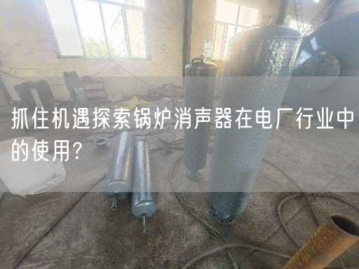 抓住機遇探索鍋爐消聲器在電廠行業(yè)中的遙遙？