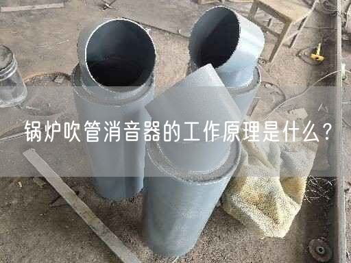 鍋爐吹管消音器的工作原理是什么？